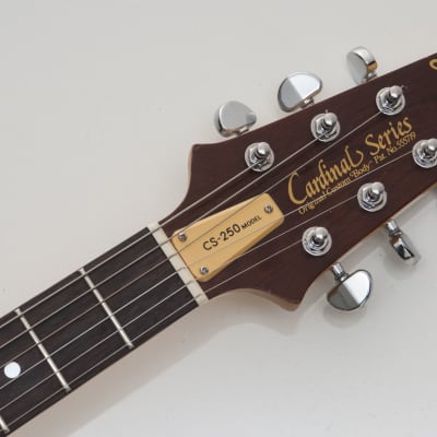 Aria Pro II CS250 Cardinal Series 