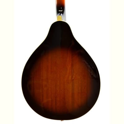 Ibanez M510E A-STYLE Acoustic Electric Mandolin – Brown Sunburst 2023 - Sunburst Gloss Finish image 7