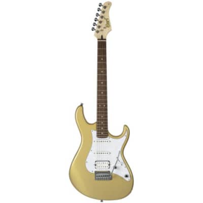 Cort CORT G250 CGM chitarra elettrica stratocaster for sale