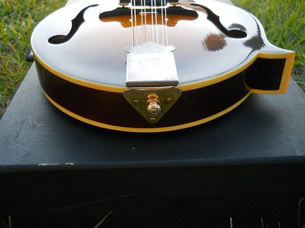Aria pro shop ii mandolin