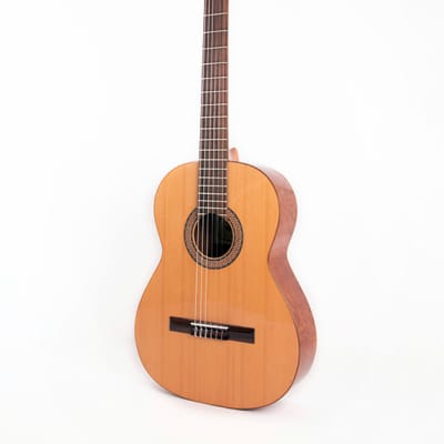 Guitarra clásica Raimundo 104B Bubinga imagen 2