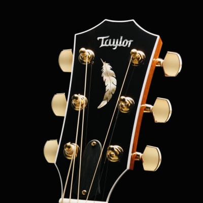 *FREE SHIP* Taylor Guitar Custom Truss Rod Cover image 3
