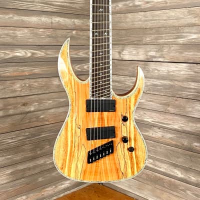 BC Rich Shredzilla 7 string Prophecy Archtop in Spalted Maple (1032) image 1