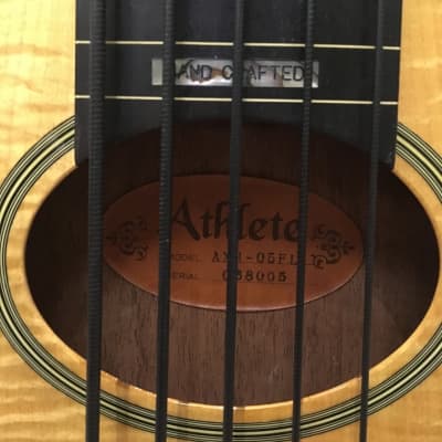 Athlete Acoustic Fretless 5-string Bass image 4