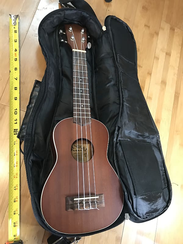 Lanikai Lu-22sgc Ukulele with soft case 21” and free shipping | Reverb