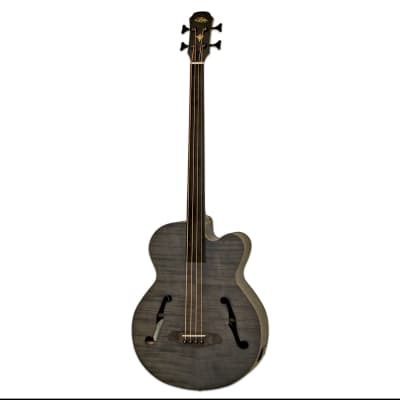 Aria Hollow body fretless bass 2023 - Transparent Black Stain for sale