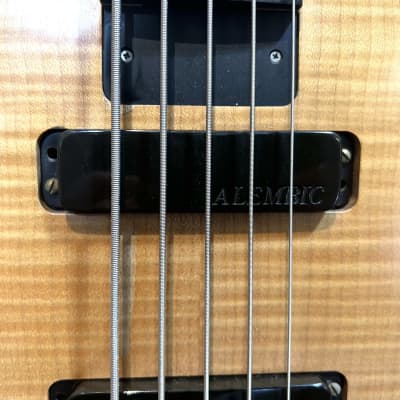 Alembic Epic 5 String Bass image 16