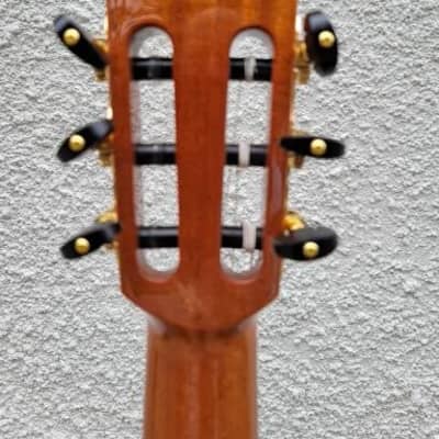 Cordoba C9 Parlor Classical Guitar Natural 2023 image 13
