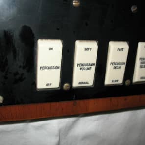 Hammond percussion store