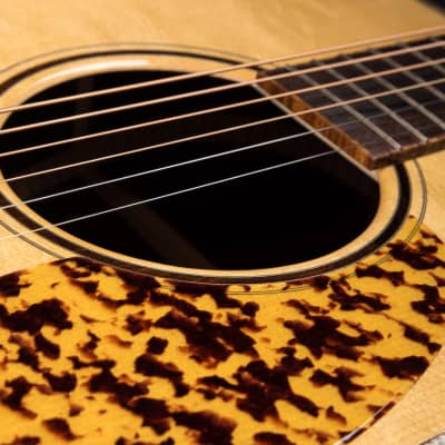 Santa Cruz 1934 D Custom - Adirondack Spruce & Brazilian Rosewood image 18