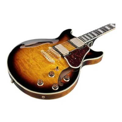 Ibanez AM Artcore Expressionist 6-String Hollow Body Electric Guitar (Antique Yellow Sunburst, Right-Handed) image 2