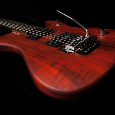 Washburn NUNO BETTENCOURT N24-NUNO VINTAGE PADAUK Electric Guitar, N24PSVINTAGEK image 5