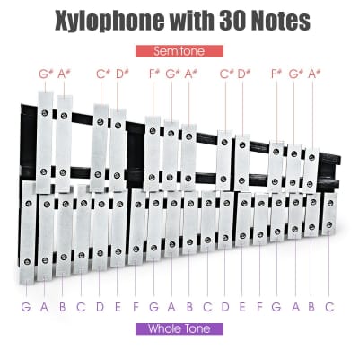 Other Aluminum Glockenspiel Xylophone 30 2024 Black + silver image 2