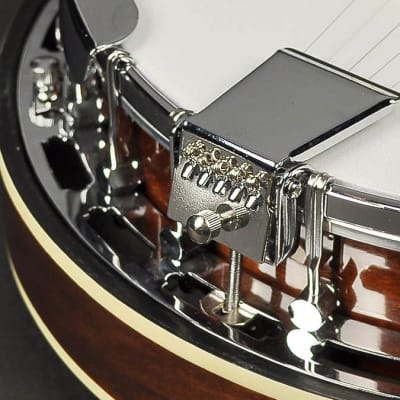 Richwood RMB-605 Bluegrass Banjo image 5