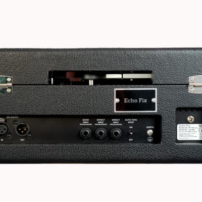 Echo Fix EF-X2 MKII 2024 - Tolex Gold image 2
