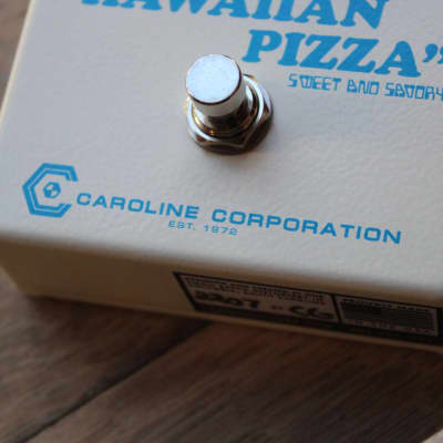 CAROLINE  "Hawaiian Pizza Fuzz" image 11