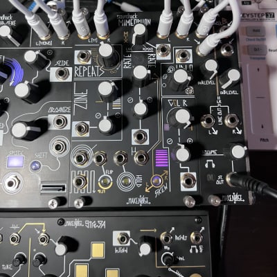 Make Noise Mimeophon Module | Reverb
