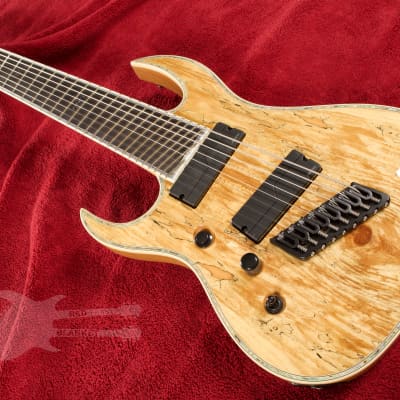 B.C. Rich Shredzilla 8 Prophecy Archtop Fanned Frets Left Handed Spalted Maple SZA824FFSMLH 2020 Spa image 4