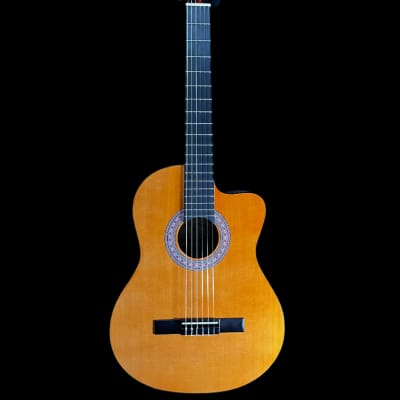 Used Indiana IC-25-CE Classical Guitar w/Bag TFW1015 image 2