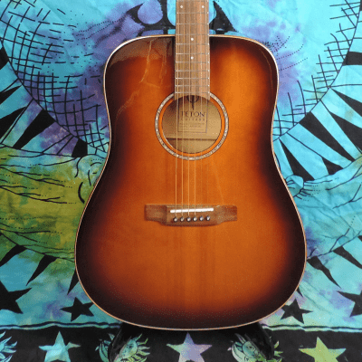 Teton Guitars - STS130FMGHB - Dreadnought - Solid Sitka Spruce Top image 1