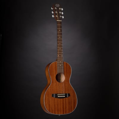J & D AP-5 Parlor - Acoustic Guitar image 7