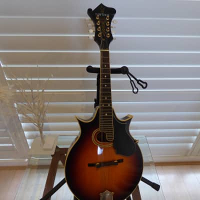 Samick SM40S 1996 -1998 Sunburst | Reverb