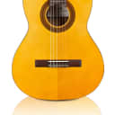 Cordoba Protege C1 - 3/4 Size Classical Guitar - 615mm Scale Length - Spruce