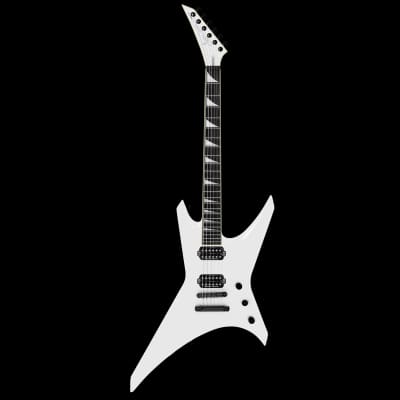 Jackson USA Custom Shop Limited Run Warrior WR-1 (Arctic Jackson USA Custom Shop Limited Run Warrior WR-1 (Arctic