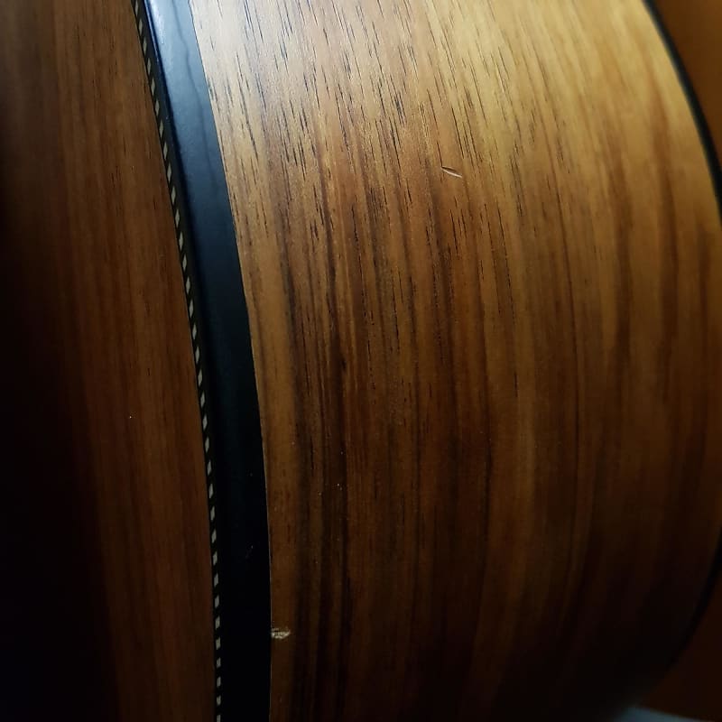 Maton Ebw808 Blackwood Series  | Reverb