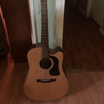 Washburn D12sce Acoustic Electric Legend! | Reverb