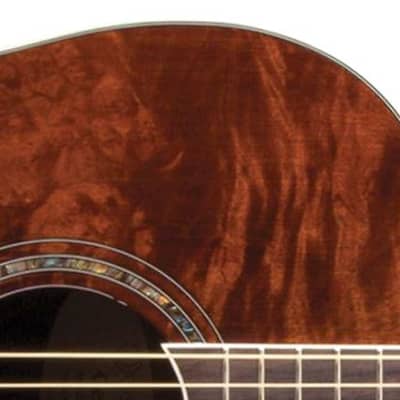Ovation Celebrity Plus Acoustic-Electric Guitar - Nutmeg Burled Maple image 2