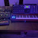Moog Minimoog Voyager Select Series Lot ElecBlue  (+ VX-351, CP-251, FreqBox, RingMod, LP Filter, Cover, PS, Lamp, Cables)