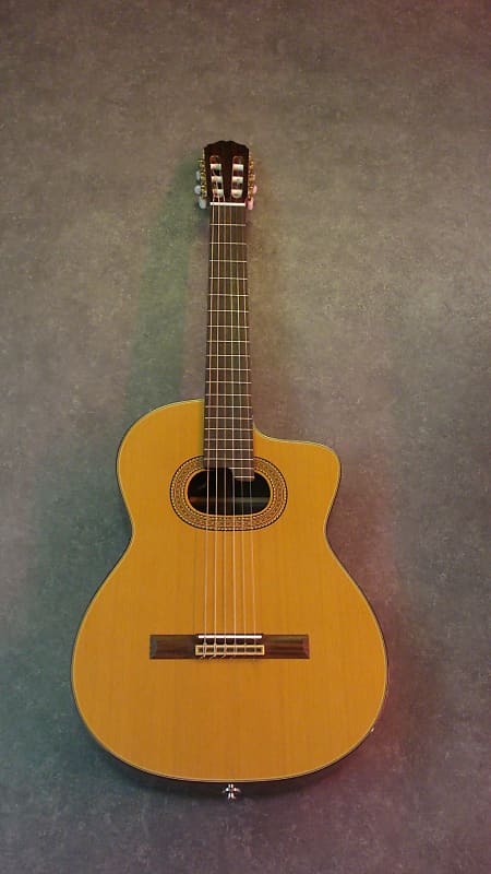 Takamine shop e50 nylon