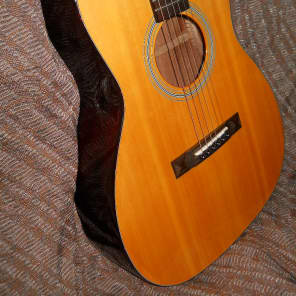 2011 Wechter 000 12 fret Acoustic guitar T-8418 image 2