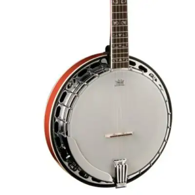 Washburn  B16 Americana Series (5 String Banjo). Tobacco Sunburst image 3