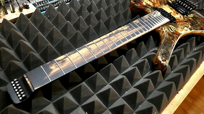 Overload Custom Guitars Themis 2022 | Reverb