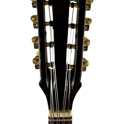 Concert Mandolin Emanuele Egildo N°299 from 1912 image 11