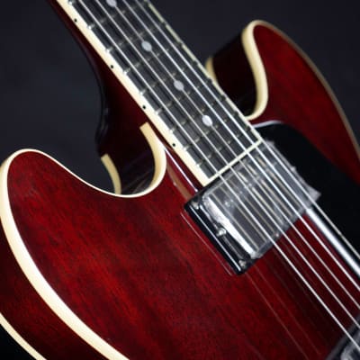 Aria TA-Domino Semi Hollow Archtop Guitar image 8