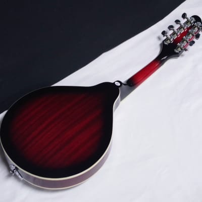 SAVANNAH SA-115-E acoustic electric A-style Mandolin NEW w/ Light Case image 6