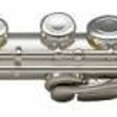 Stagg FL231 Standard C Flute with ABS Case, WS-FL231 image 1