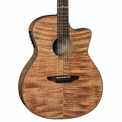 High Tide Exotic Mahogany Grand Concert Cutaway Acoustic-Electric Guitar for sale