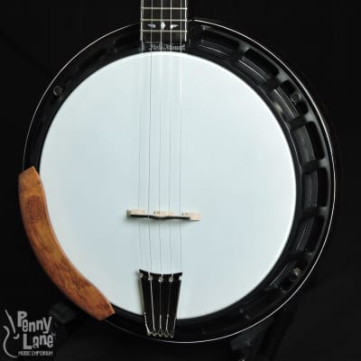 Nechville Classic DLX 5-String Resonator Banjo with Case image 3