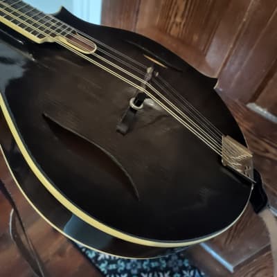 Michael Kelly F Style Mandolin | Reverb