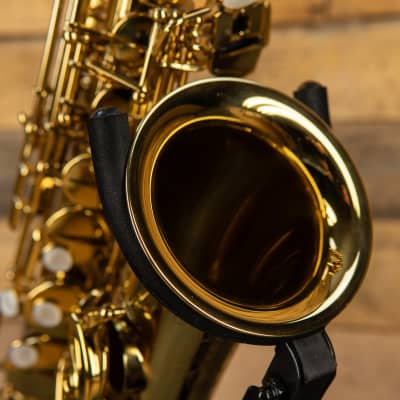 Eastman EAS650 Step-Up Alto Saxophone image 5