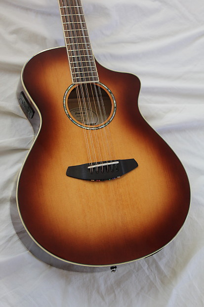 Breedlove studio 2025