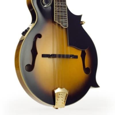 Ozark 'F' Model 2255E Electro Acoustic Scroll Mandolin, Sunburst Gloss image 1