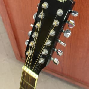 Fender DG-16E 12-String Acoustic Electric Guitar Black image 2
