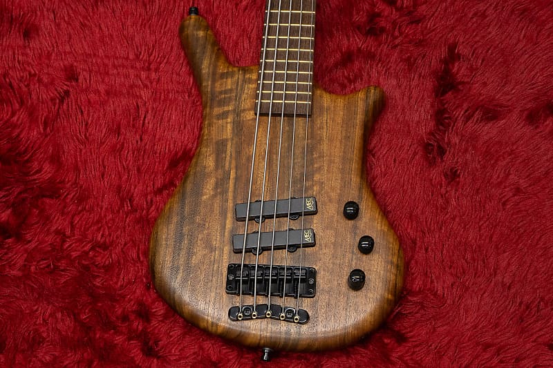 Warwick Teambuilt Thumb BO Limited Edition 2024 5-string