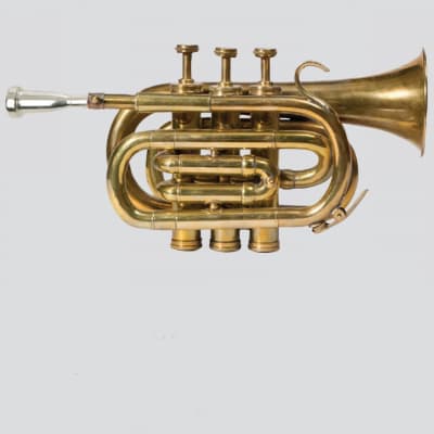 Phaeton PHTP-3000 Pocket Trumpet - Horn Stash