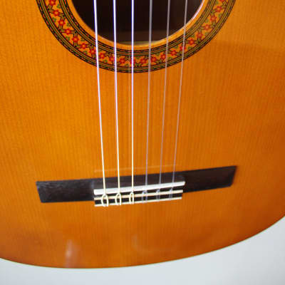 Brand New Yamaha C40 Nylon String Classical Guitar image 5